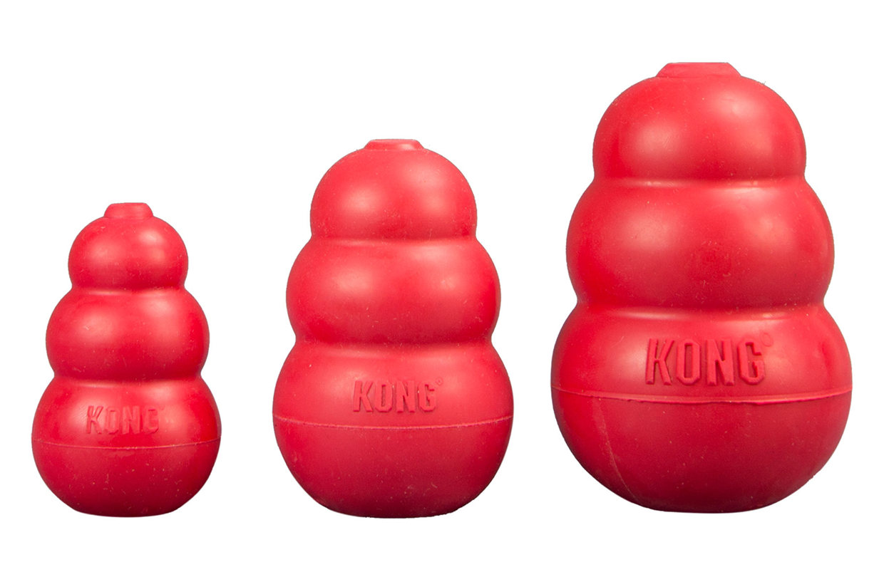 Kong classic dog toy