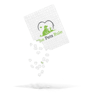 the pets rule jigsaw puzzle