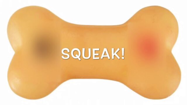 small dog squeaky toy