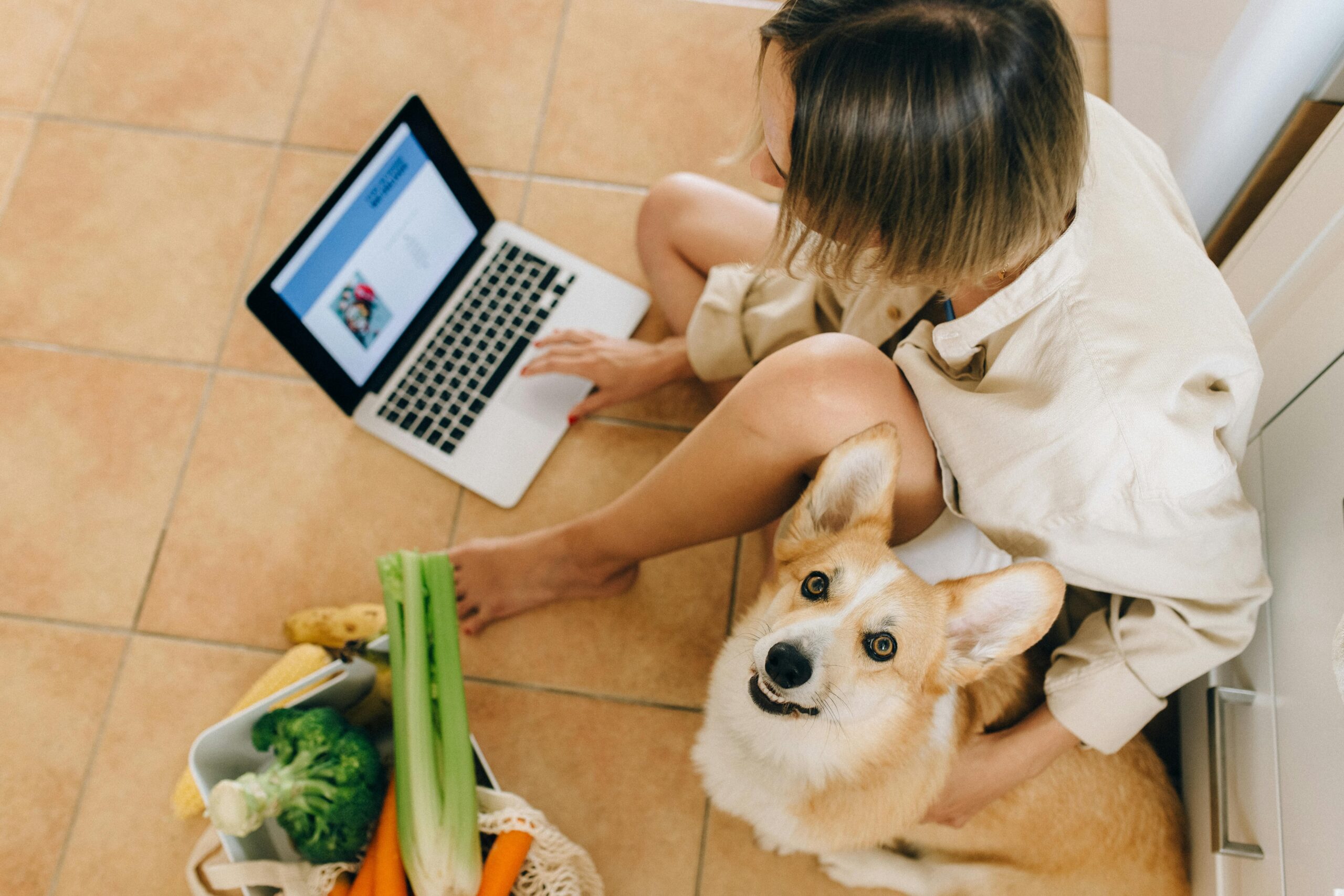 Woman sits with corgi and laptop, surrounded by groceries, browsing online at home.