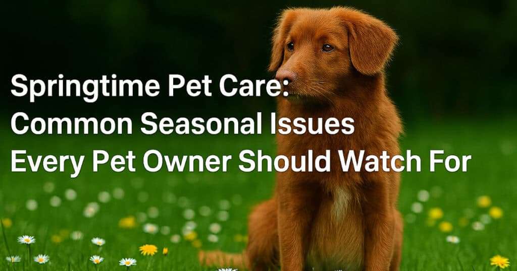 Springtime Pet Care: Fleas, Ticks & Seasonal Risks